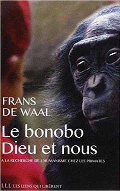bonobo